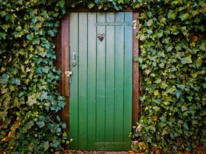 Green Door and Green-leafed Plants